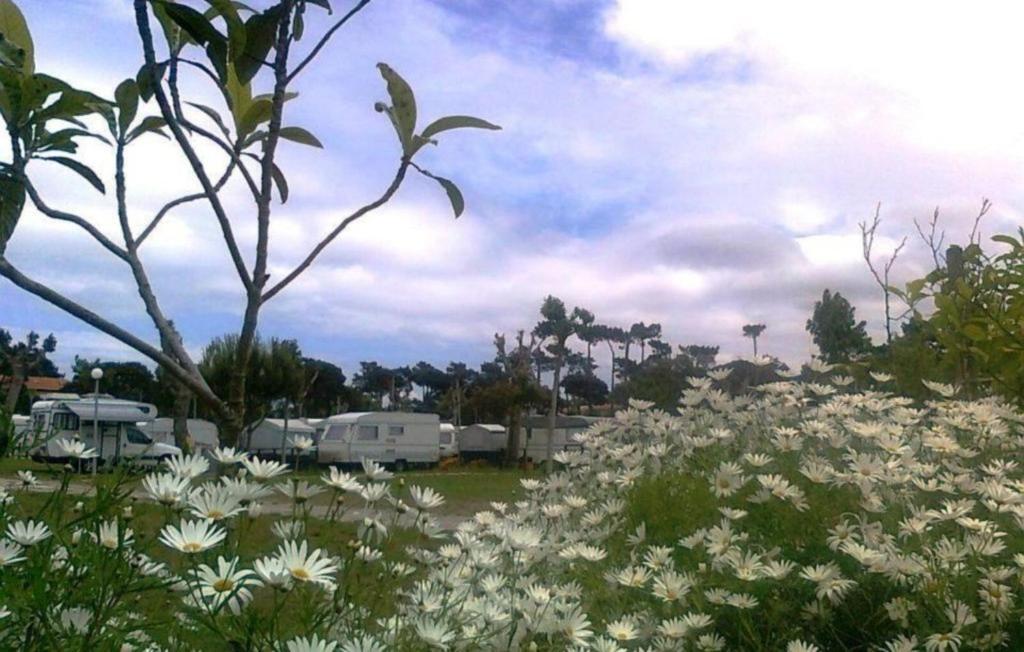 Parque De Campismo De Fão Hotel Buitenkant foto